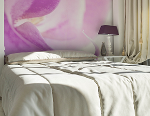 pink_bedroom